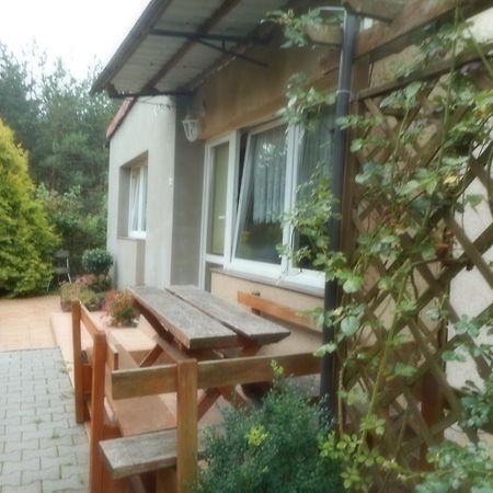 Apartamento Przy Lesie Nowe Exterior foto